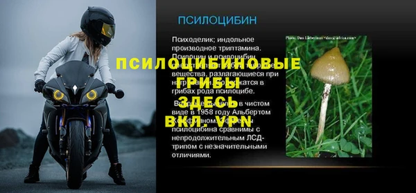 ECSTASY Белоозёрский
