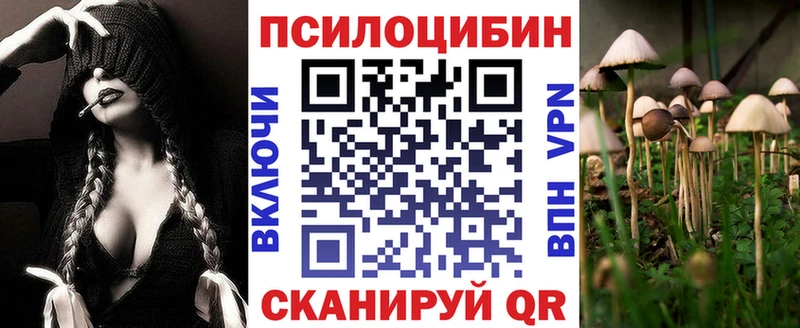 Галлюциногенные грибы Cubensis  Санкт-Петербург 